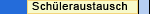 Schueleraustausch
